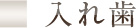 入れ歯