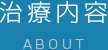 治療内容